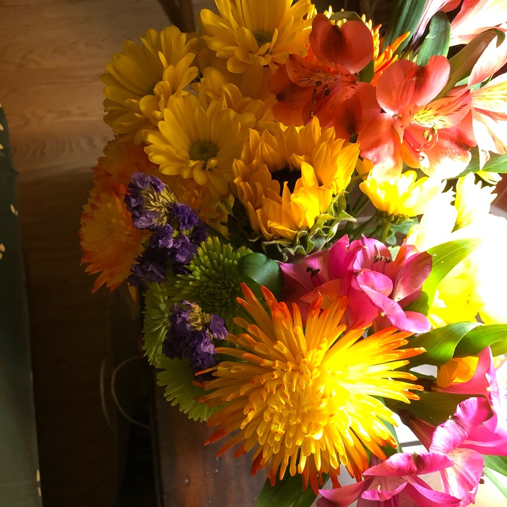 Meet your Posher, Alison